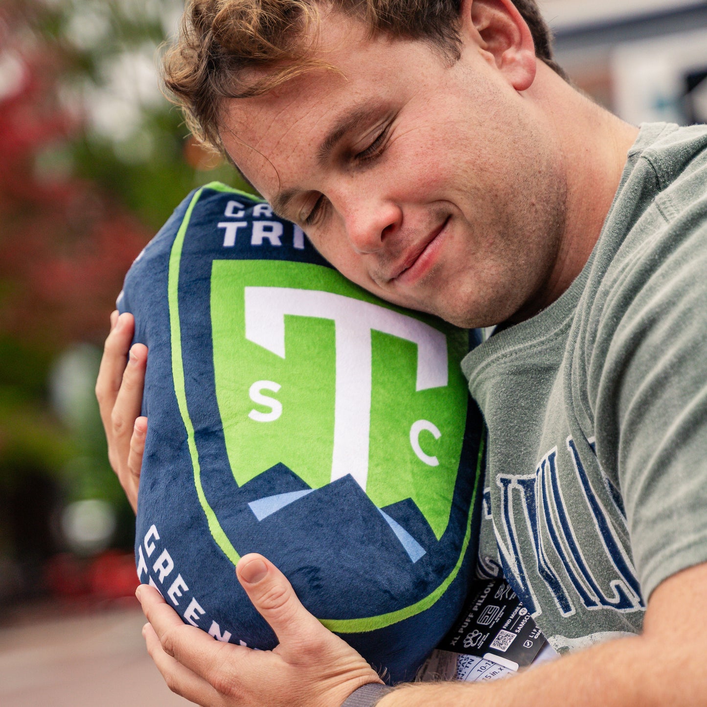 Triumph Crest Pillow