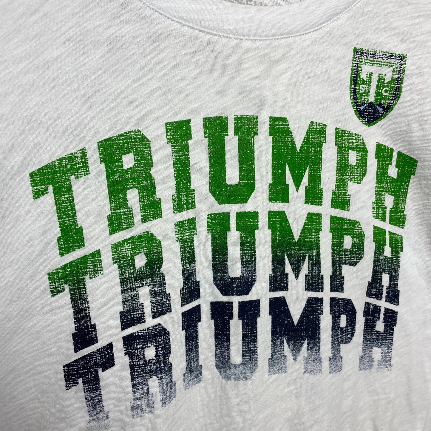 Triumph Philipa Cropped Tee