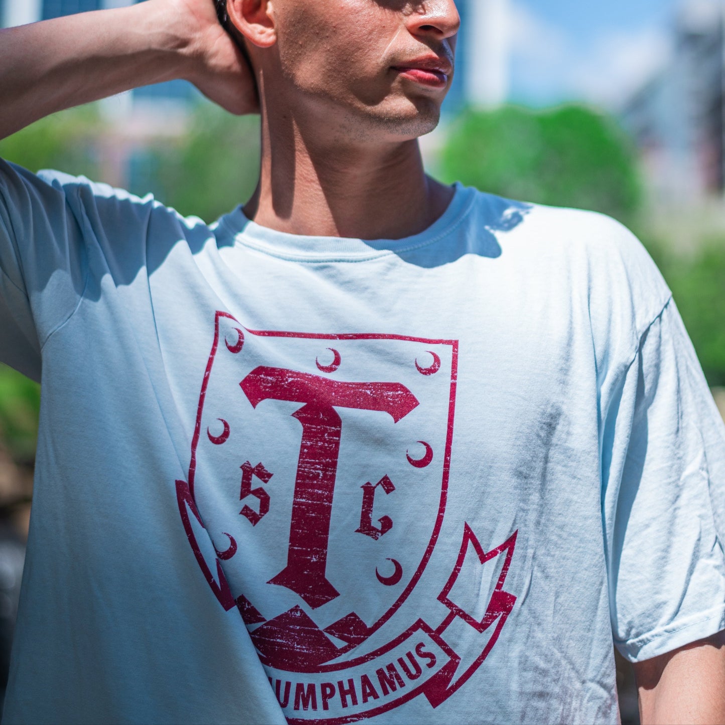Triumph Classic Crest Tee