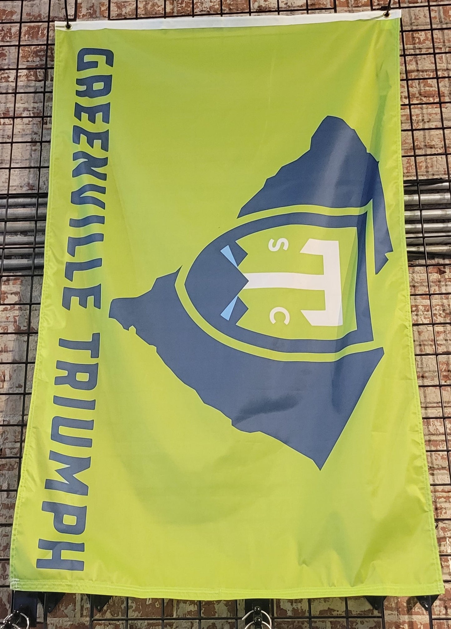 Triumph State Flag