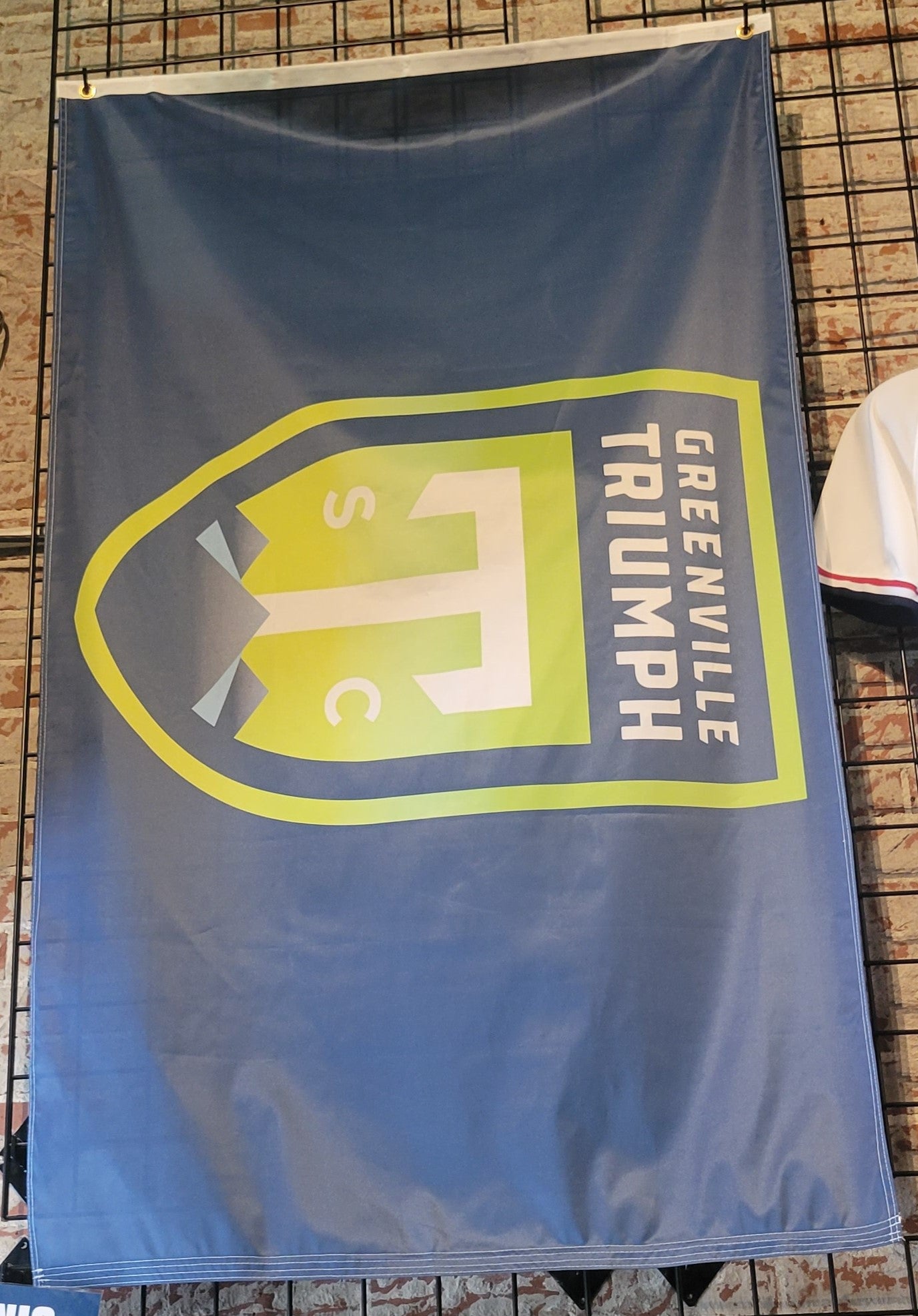 Triumph 3x5 Flag