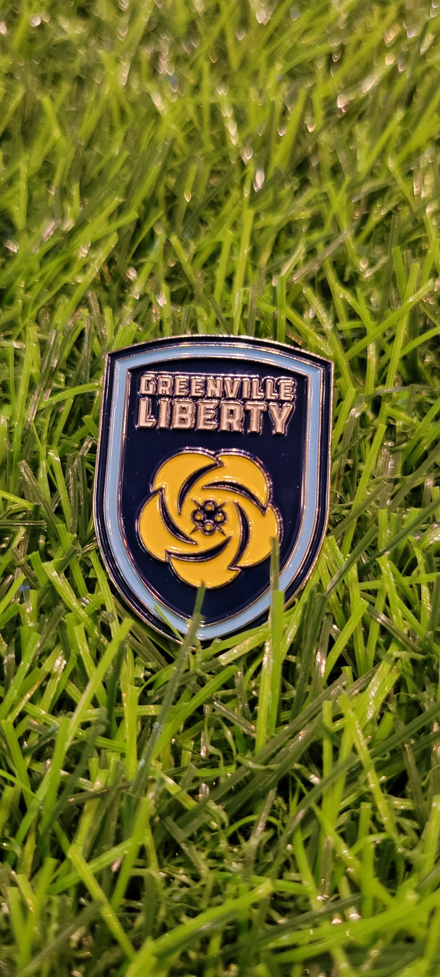 Liberty Lapel Pin