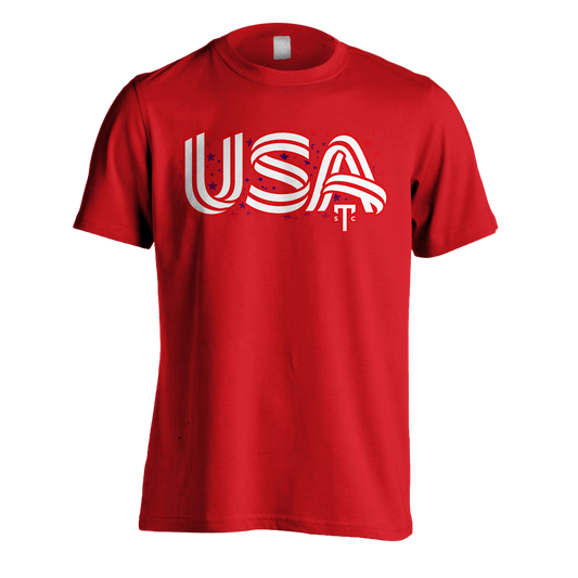 USA Graphic Tee - Comfort Color
